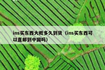 ins买东西大概多久到货（ins买东西可以直邮到中国吗）