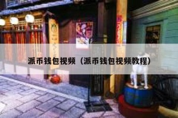 派币钱包视频（派币钱包视频教程）