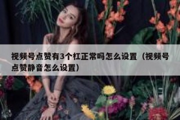 视频号点赞有3个杠正常吗怎么设置（视频号点赞静音怎么设置）