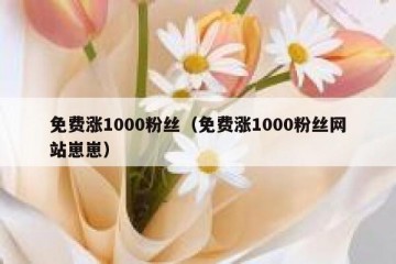 免费涨1000粉丝（免费涨1000粉丝网站崽崽）
