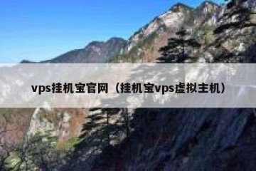 vps挂机宝官网（挂机宝vps虚拟主机）