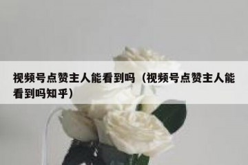 视频号点赞主人能看到吗（视频号点赞主人能看到吗知乎）