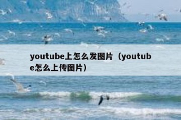 youtube上怎么发图片（youtube怎么上传图片）