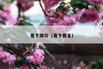 鬼卞简介（鬼卞原名）