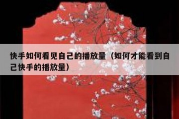 快手如何看见自己的播放量（如何才能看到自己快手的播放量）