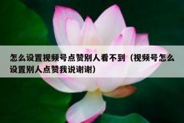 怎么设置视频号点赞别人看不到（视频号怎么设置别人点赞我说谢谢）
