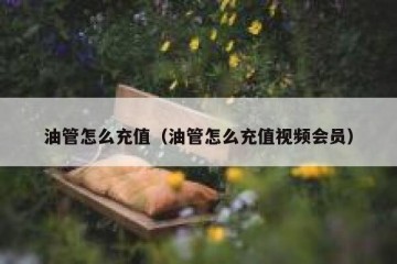 油管怎么充值（油管怎么充值视频会员）