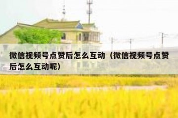 微信视频号点赞后怎么互动（微信视频号点赞后怎么互动呢）