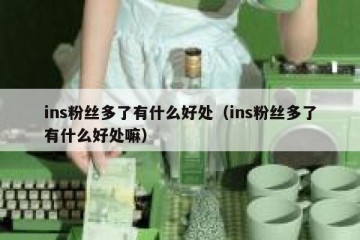 ins粉丝多了有什么好处（ins粉丝多了有什么好处嘛）