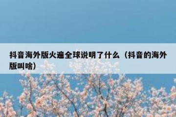 抖音海外版火遍全球说明了什么（抖音的海外版叫啥）