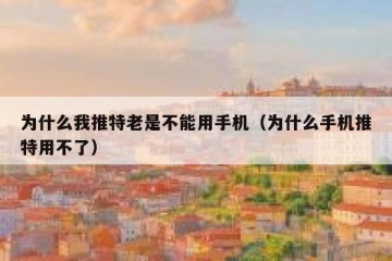 为什么我推特老是不能用手机（为什么手机推特用不了）