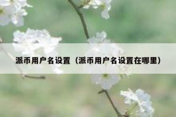 派币用户名设置（派币用户名设置在哪里）