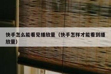 快手怎么能看见播放量（快手怎样才能看到播放量）