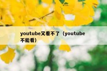 youtube又看不了（youtube 不能看）