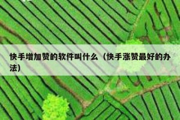 快手增加赞的软件叫什么（快手涨赞最好的办法）