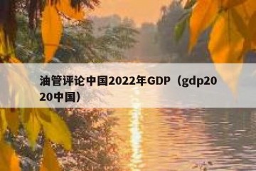 油管评论中国2022年GDP（gdp2020中国）