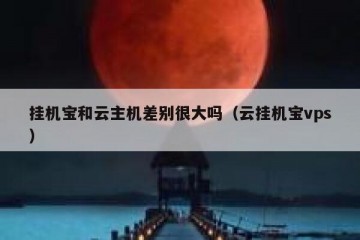 挂机宝和云主机差别很大吗（云挂机宝vps）