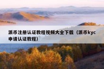 派币注册认证教程视频大全下载（派币kyc申请认证教程）