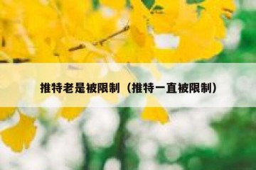 推特老是被限制（推特一直被限制）
