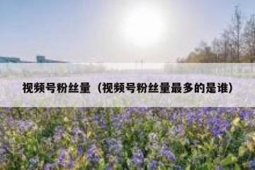 视频号粉丝量（视频号粉丝量最多的是谁）