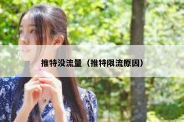 推特没流量（推特限流原因）