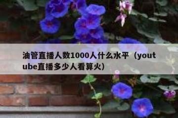 油管直播人数1000人什么水平（youtube直播多少人看算火）