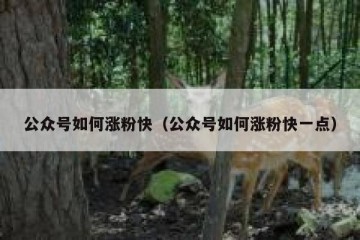 公众号如何涨粉快（公众号如何涨粉快一点）