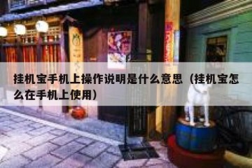 挂机宝手机上操作说明是什么意思（挂机宝怎么在手机上使用）