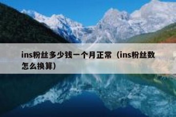 ins粉丝多少钱一个月正常（ins粉丝数怎么换算）
