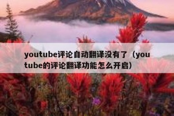 youtube评论自动翻译没有了（youtube的评论翻译功能怎么开启）
