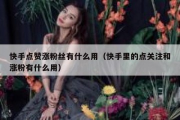 快手点赞涨粉丝有什么用（快手里的点关注和涨粉有什么用）