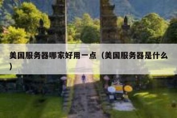 美国服务器哪家好用一点（美国服务器是什么）
