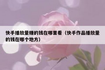 快手播放量赚的钱在哪里看（快手作品播放量的钱在哪个地方）