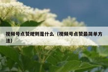 视频号点赞规则是什么（视频号点赞最简单方法）