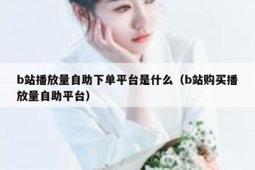 b站播放量自助下单平台是什么（b站购买播放量自助平台）