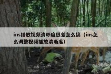 ins播放视频清晰度很差怎么搞（ins怎么调整视频播放清晰度）