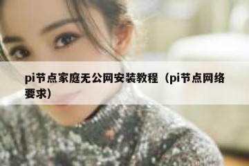 pi节点家庭无公网安装教程（pi节点网络要求）