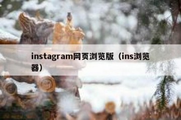 instagram网页浏览版（ins浏览器）