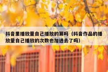 抖音里播放量自己播放的算吗（抖音作品的播放量自己播放的次数也加进去了吗）