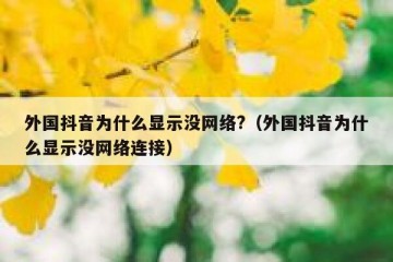外国抖音为什么显示没网络?（外国抖音为什么显示没网络连接）