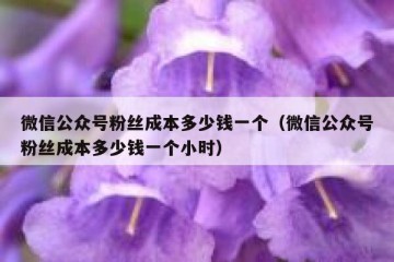 微信公众号粉丝成本多少钱一个（微信公众号粉丝成本多少钱一个小时）