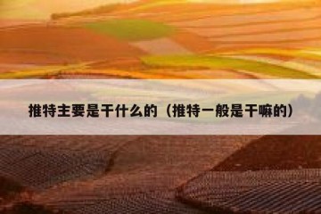 推特主要是干什么的（推特一般是干嘛的）