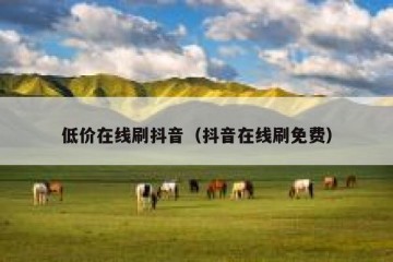 低价在线刷抖音（抖音在线刷免费）