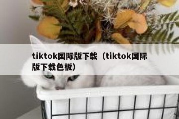 tiktok国际版下载（tiktok国际版下载色板）