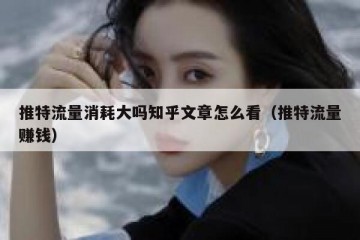 推特流量消耗大吗知乎文章怎么看（推特流量赚钱）