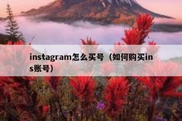 instagram怎么买号（如何购买ins账号）