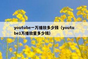 youtube一万播放多少钱（youtube1万播放量多少钱）