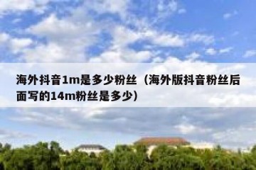 海外抖音1m是多少粉丝（海外版抖音粉丝后面写的14m粉丝是多少）