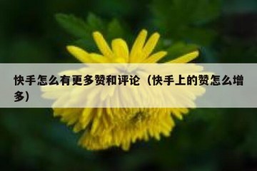 快手怎么有更多赞和评论（快手上的赞怎么增多）