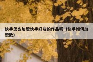 快手怎么加赞快手好友的作品呢（快手如何加赞数）